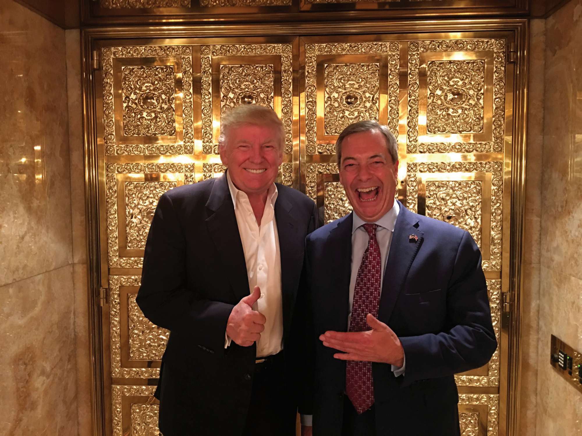 Trump Farage Factor